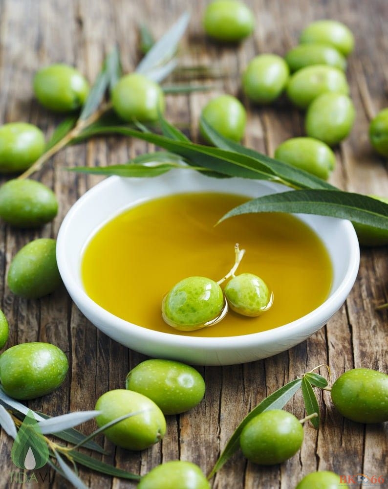 Thành phần trong quả olive