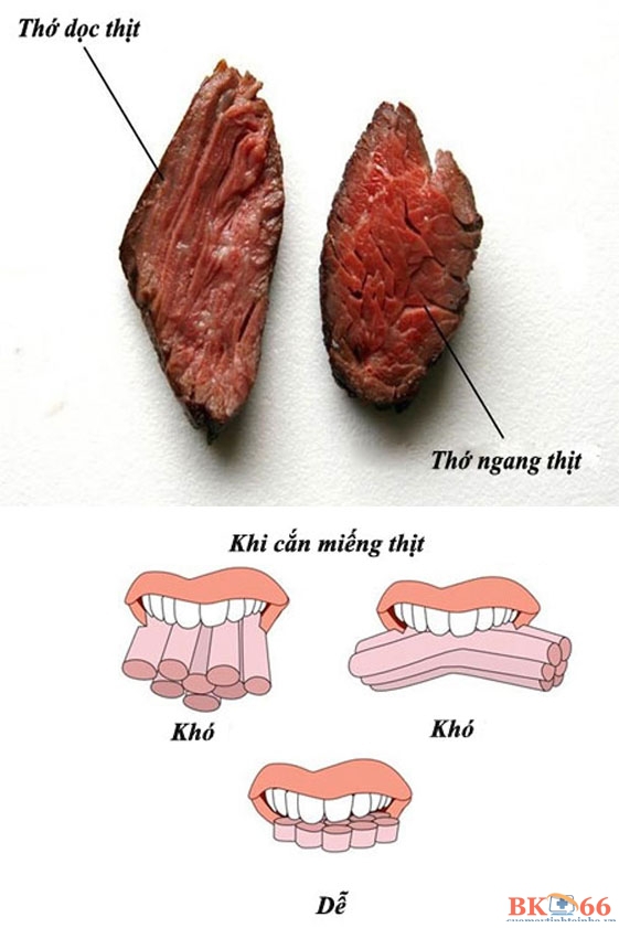 Bí quyết thái thịt